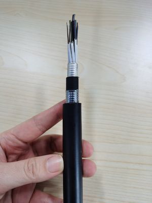 196の中心の単一モードG652dは地下の光ファイバケーブルの倍の外装を埋めた