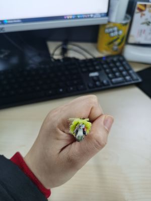 単一モード24の中心ADSSコミュニケーション ケーブル、すべての誘電性の光ファイバケーブル